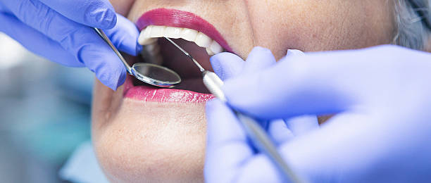 Best Emergency X-Rays and Diagnostics in Forest, MS